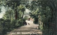 Picture of Old Ryde 1905